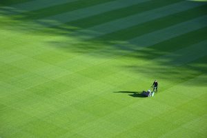 Read more about the article How to Select the Best Lawn Mower for Your Lawn